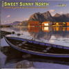 The_Sweet_Sunny_North__Henry_Kaiser___David_Lindley_In_Norway__Vol__2