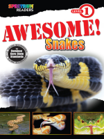 Awesome__Snakes