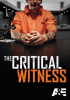 The_Critical_Witness