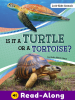 Is_it_a_turtle_or_a_tortoise_